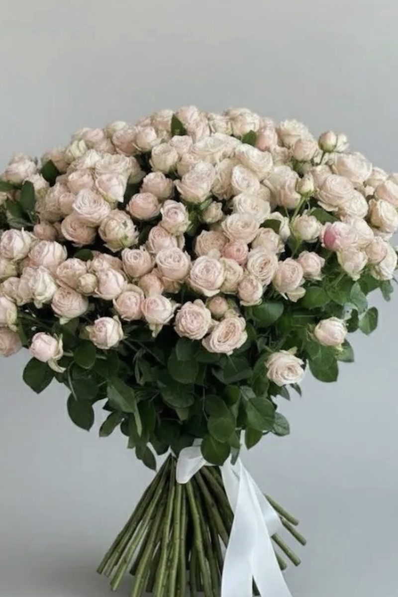 10 Stem White Baby Rose