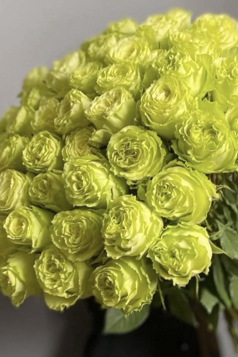 25 fresh yellow roses,