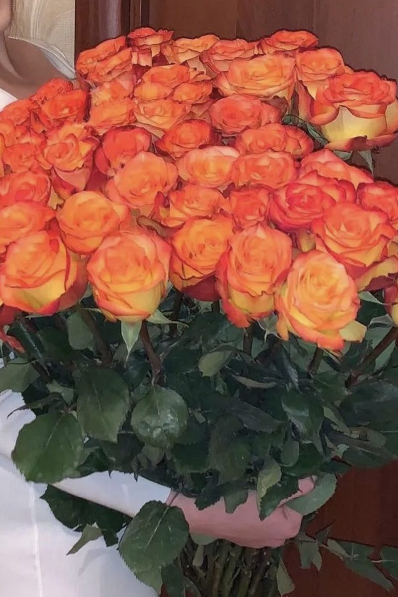 25 Fresh Orange Rose (Wholesale)