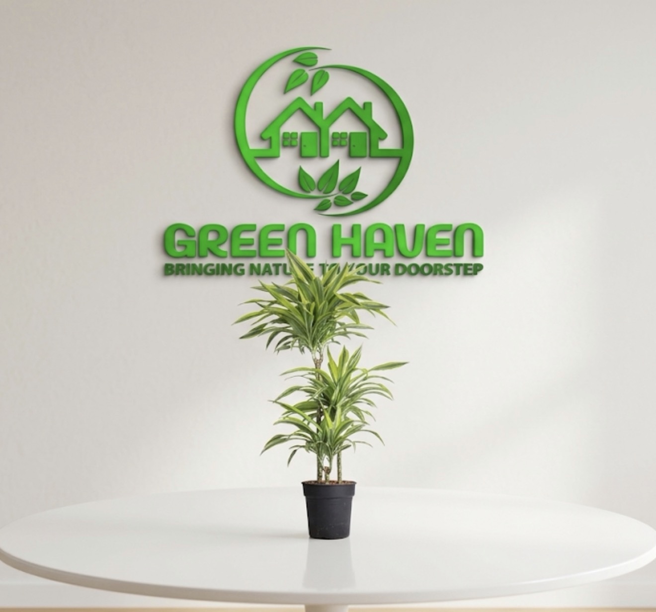 Dracaena Lemon Lime 3PP