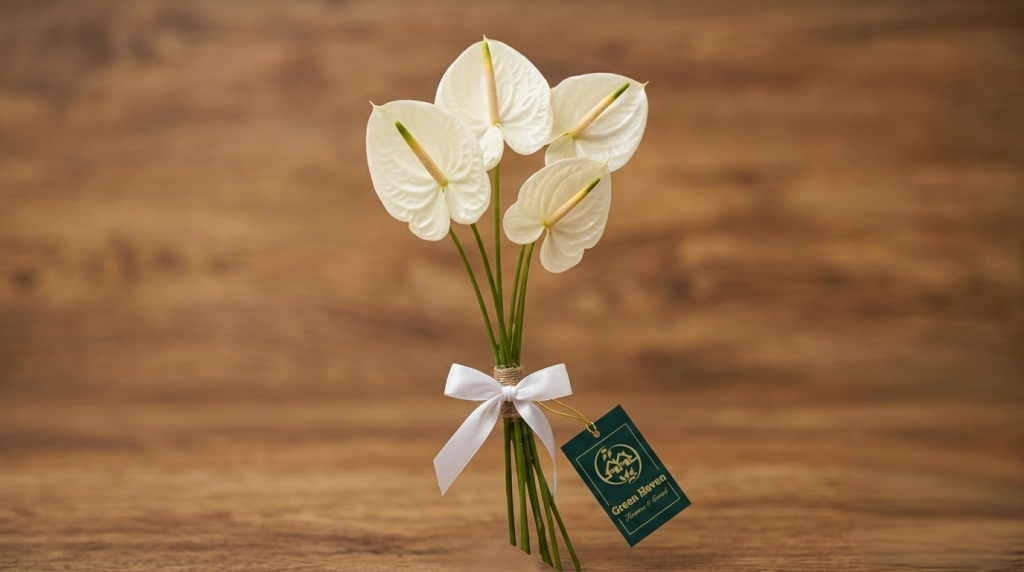 anthurium heart-shaped
