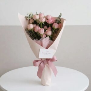 Blush Petal Dream