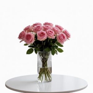 Rose in a Vase