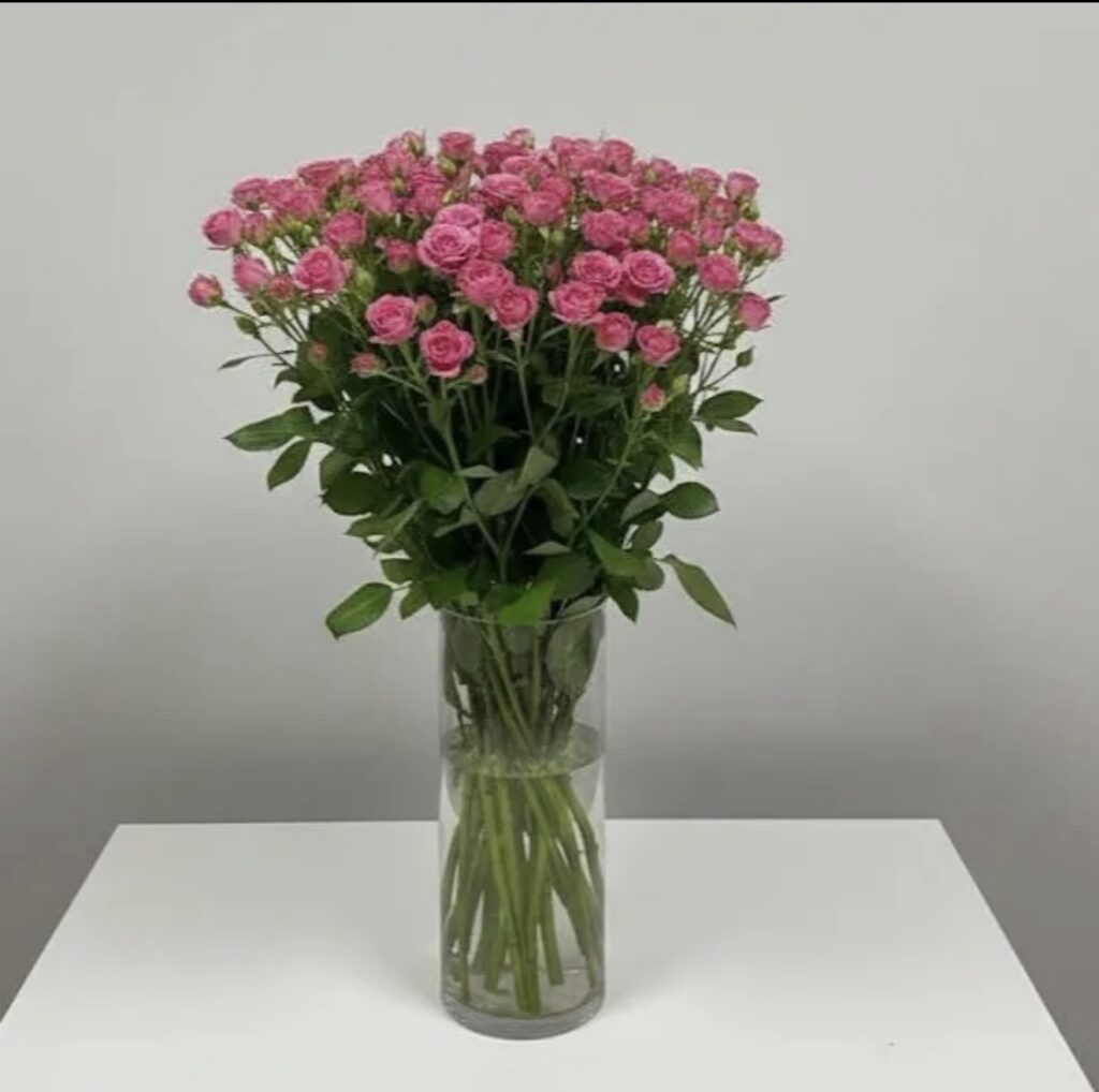 Vase With 10 Piece Fuchia Baby Rose
