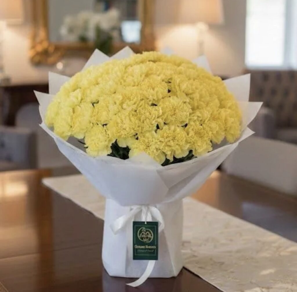 Comfort Bloom