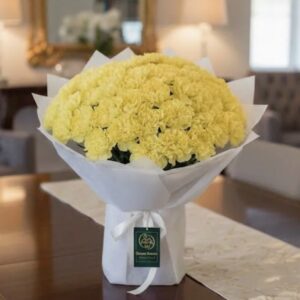 Comfort Bloom