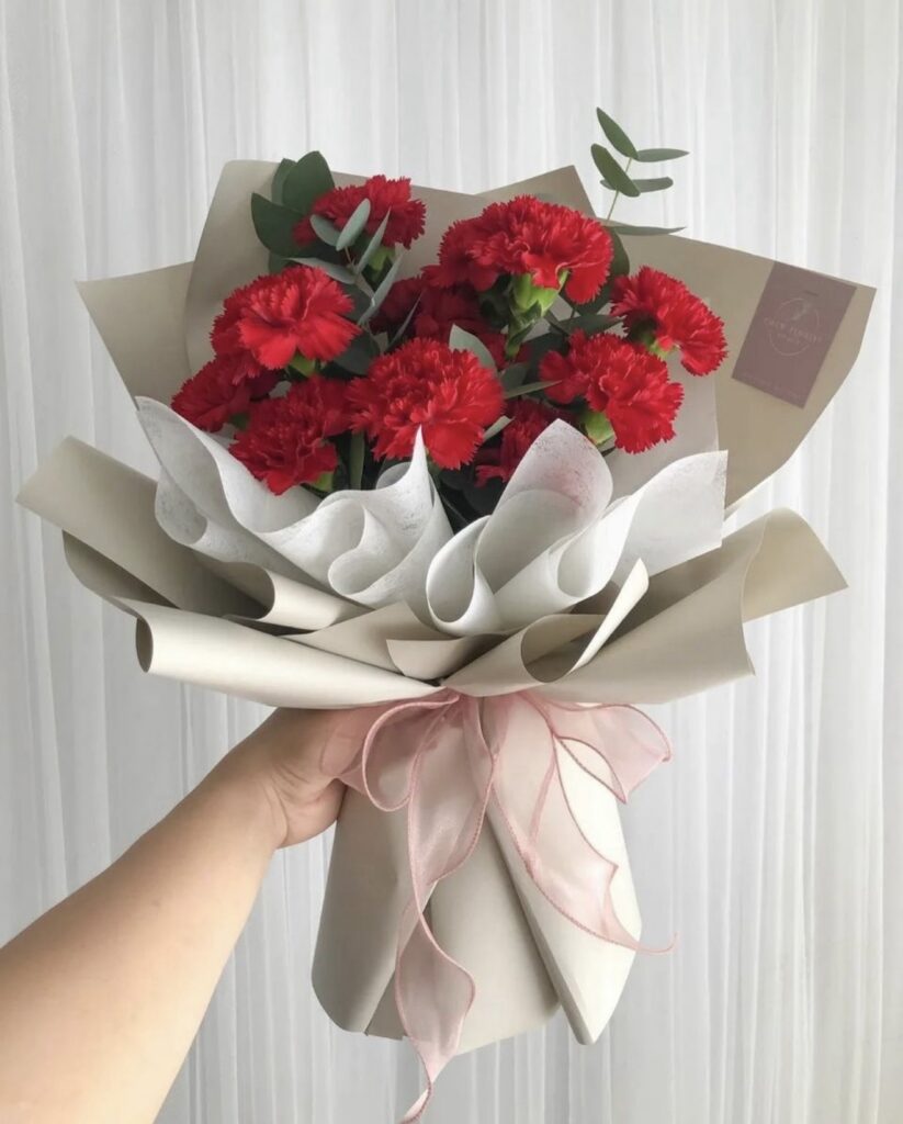 The Red Carnation