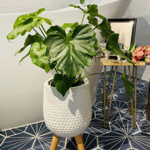 Mica Douro Pot