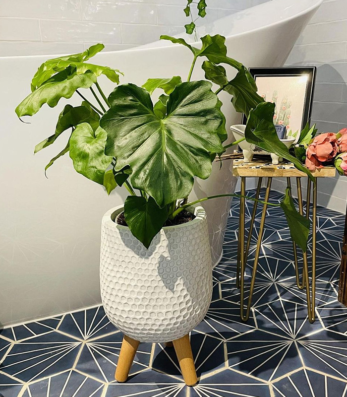 Mica Douro Pot