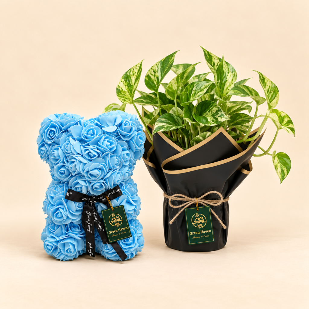 Green Wishes Plant & Blue Rose Teddy Gift Set