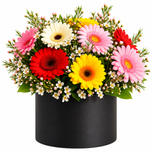 Rainbow Gerbera Delight Flower Box