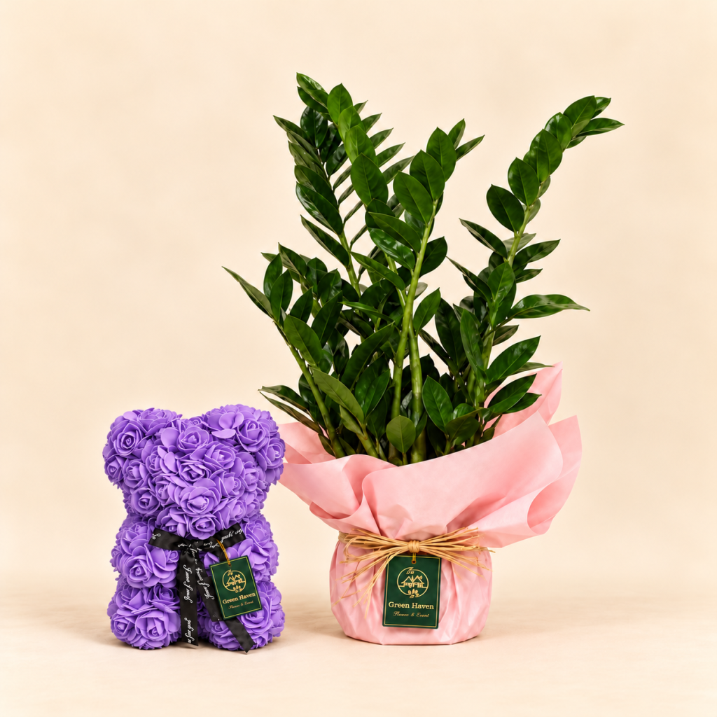 Lavender Love ZZ Plant & Rose Teddy Gift Set