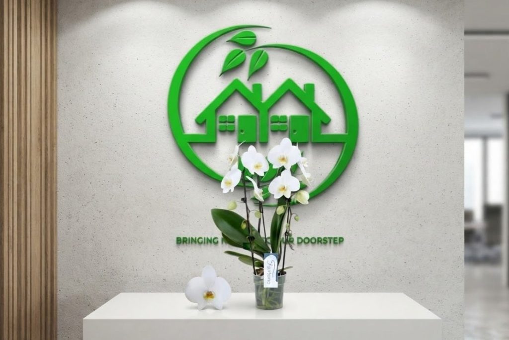 Phalaenopsis Orchid-White
