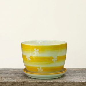 Table Ceramic Pot (with plate)