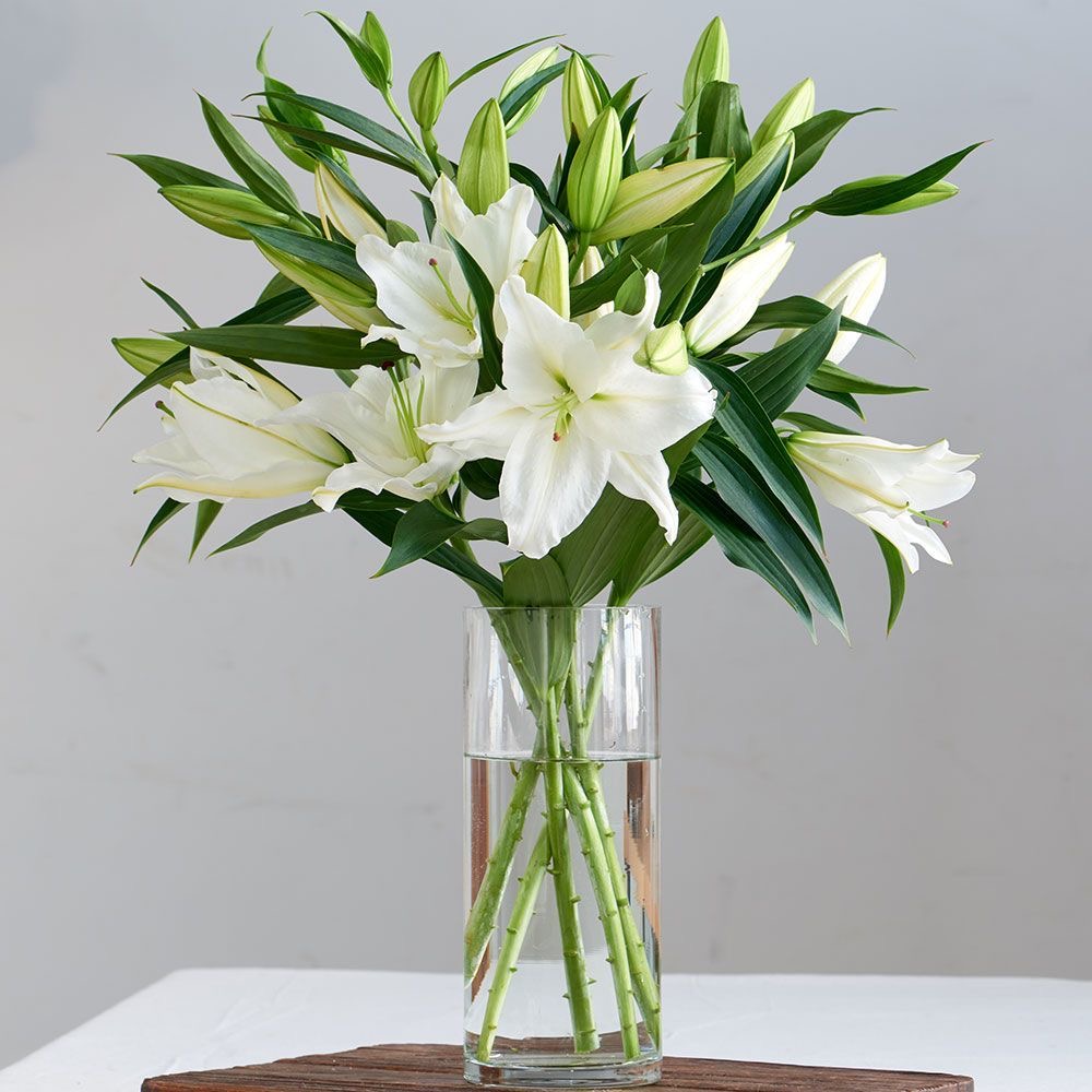 Vase Arrangements